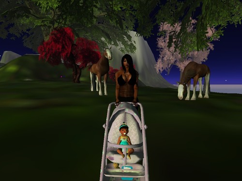 Web 528bd1217e04303696000001