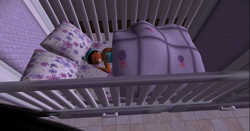 Web 5290c7bc16c3dc0a88000001