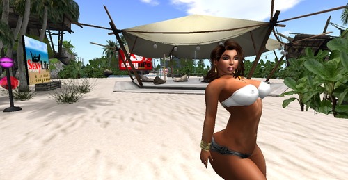 Web 55735541f8a1ec397b000001