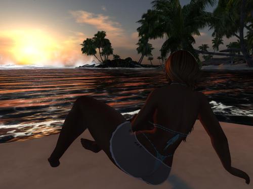 Web 5cc227ccd9859c7de3000001