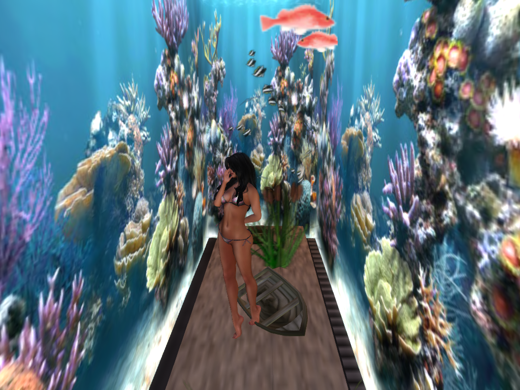 Original 5451184f8da5726e02000001