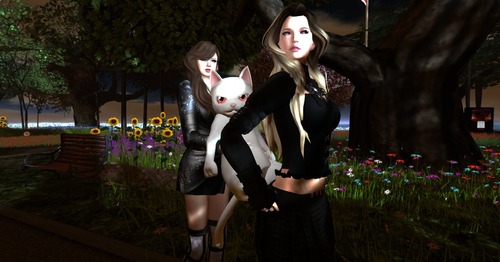 Web 5403f6fa8da572517b000001