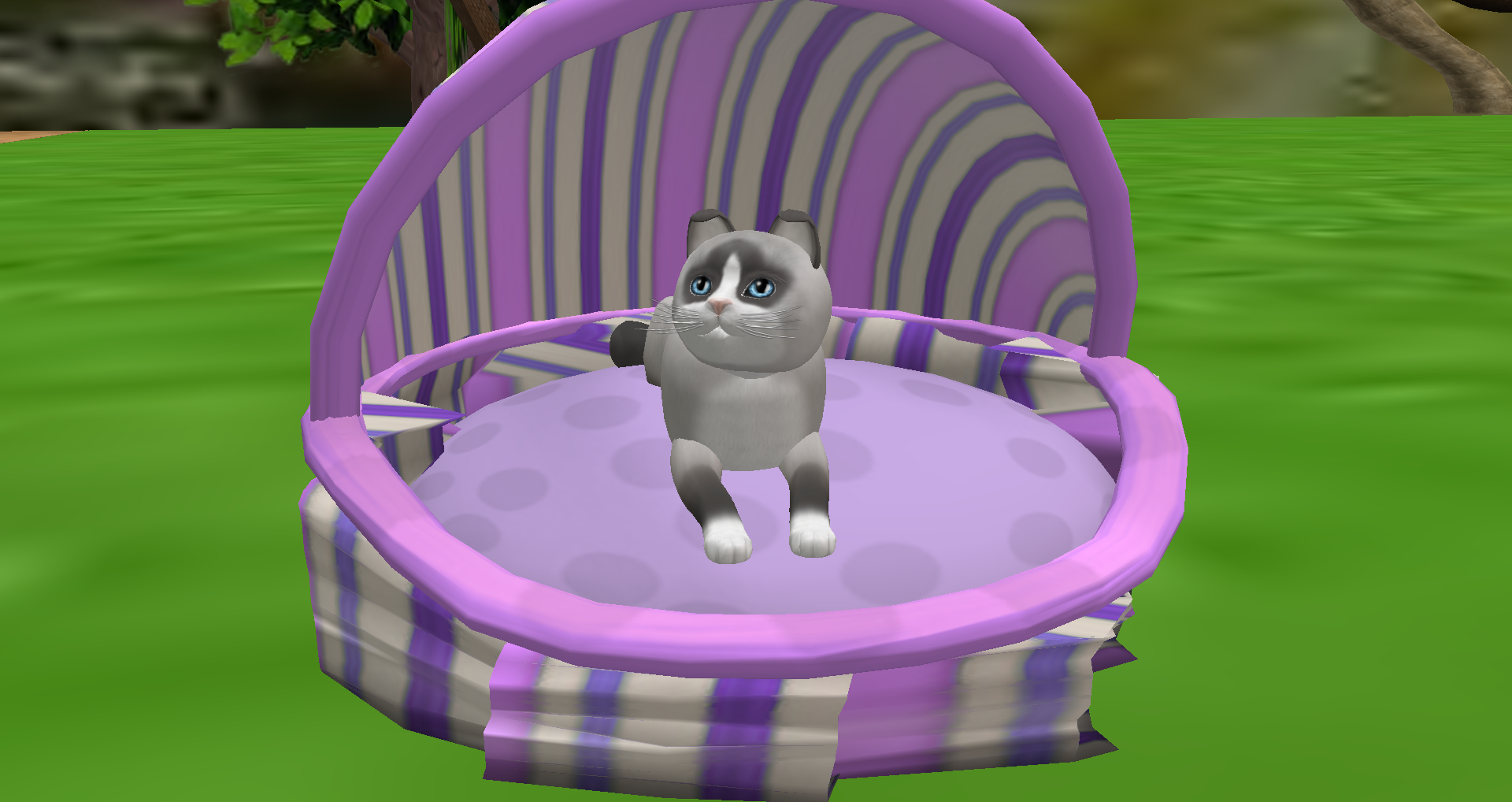 Original 545035e38da57214de000001