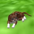 Thumb 54226cbf8da5723cc3000001