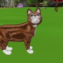 Thumb 542a5c79f8a1ec3ac2000001