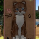 Thumb 5438eb36128cc956a1000001