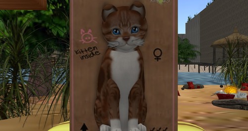 Web 5438eb36128cc956a1000001