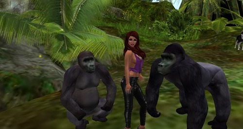 Web 543a493b8da5722119000001