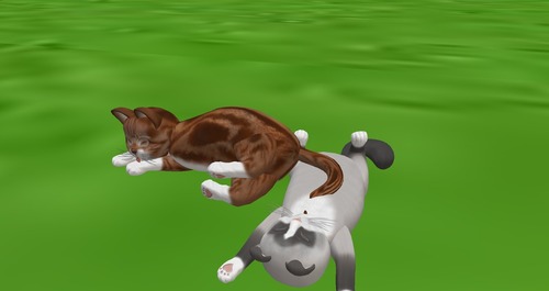 Web 543f5fc0128cc91167000001