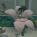 Thumb 54850f9f8da572744a000001