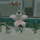 Thumb 54870c88a73e212de0000001