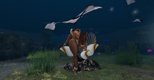 Web 5497cd13128cc9394b000001