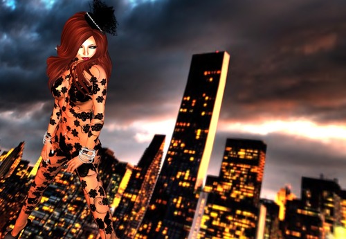 Web 535ead88f8a1ec66e5000001