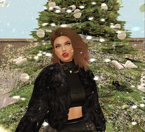 Web 5a2069c3d9859c4aa1000001