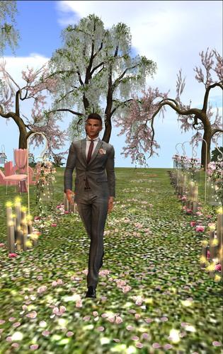 Web 5c8d326273ed1745ee000001