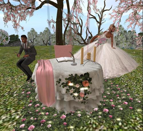 Web 5c8d35e273ed176191000001