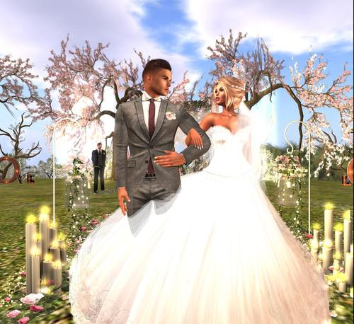 Web 5c8d3a9d289dd24f9c000001