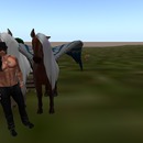 Thumb 53a77070f8a1ec6880000001