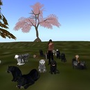 Thumb 53a7711a8da5725f27000001