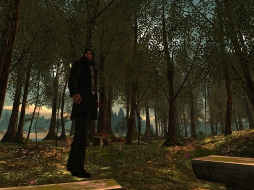 Web 57e7e07db015407d6a000001