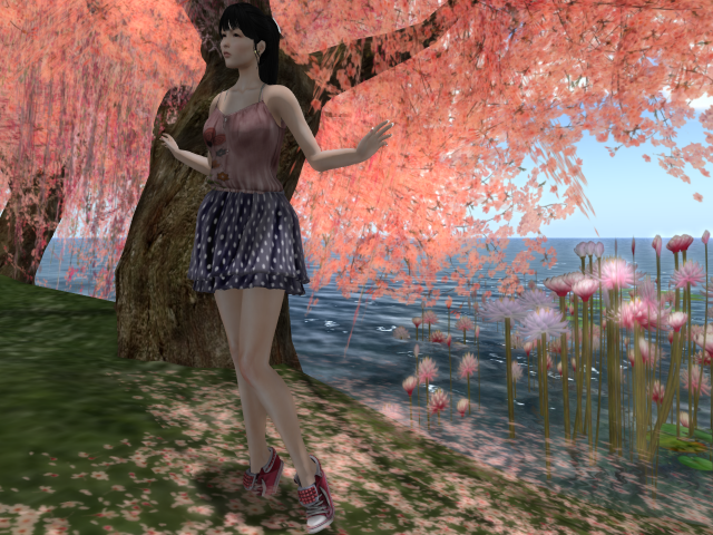 Original 5920b12173ed173a99000001