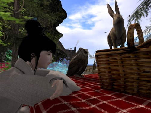 Web 58d1c03ab015403a19000001