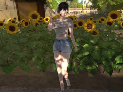 Web 59bbde3a289dd20fce000001