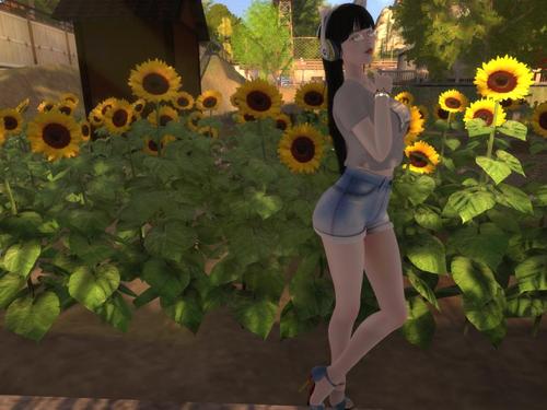 Web 59bbe213d9859c2b33000001