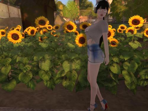 Web 59bbe315d774f854a1000001