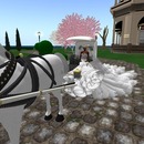 Thumb 52811125f93e5649e9000001