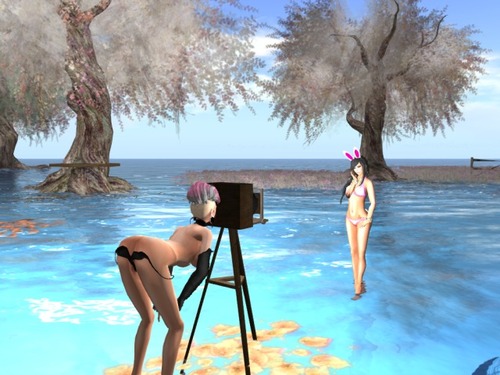 Web 538b19da128cc90626000001