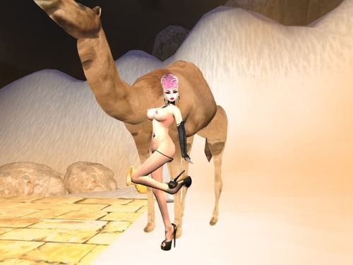 Web 538b1e27a73e211715000001