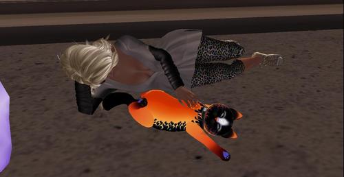 Web 5905153a289dd2559b000001