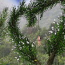 Thumb 5744b355b713f76d53000001