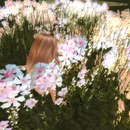 Thumb 580efdf2b713f71fc9000001