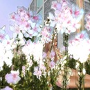 Thumb 580efe06f8a1ec6b72000001