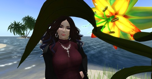 Web 5497cfd9128cc94d36000001