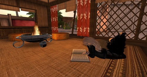 Web 54b691ae128cc92ffa000001