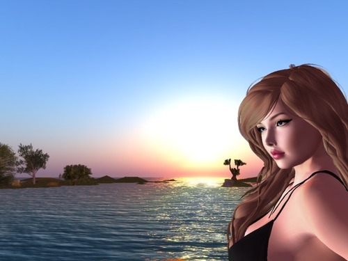 Web 56dc12289934e04b50000001