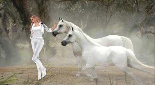 Web 58077613f8a1ec6e02000001