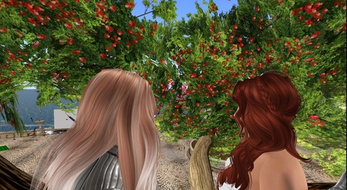 Web 580a05d7b713f71876000001