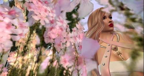 Web 580efacdb713f70f8b000001