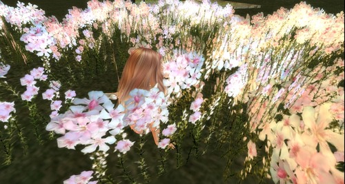 Web 580efdf2b713f71fc9000001