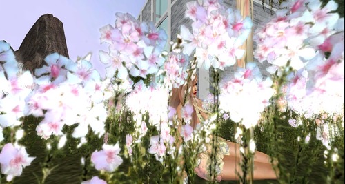 Web 580efe06f8a1ec6b72000001