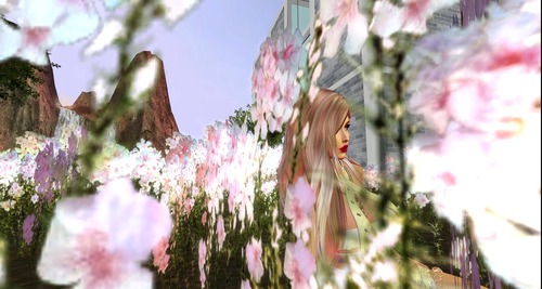 Web 580efed8e85cda0597000001