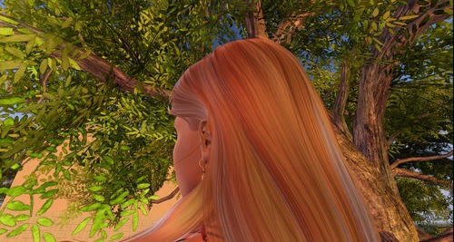 Web 580f035db713f74539000001