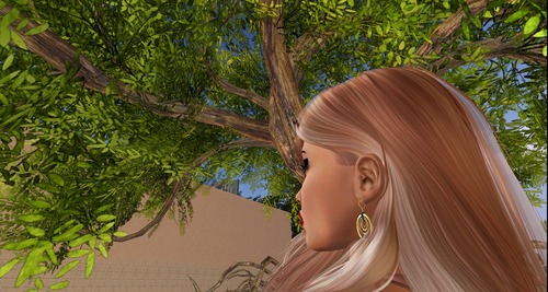 Web 580f038fb713f747c2000001