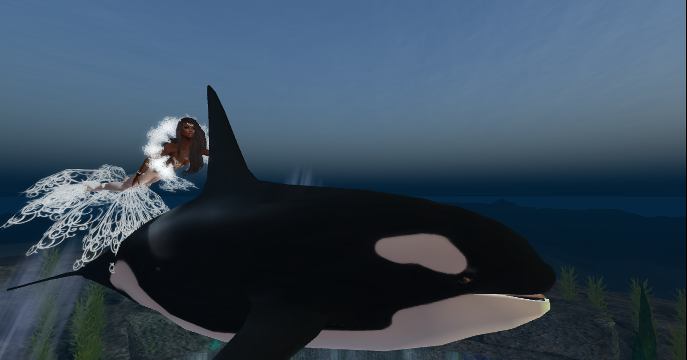 Original 55799aa0128cc96515000001