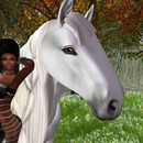 Thumb 552c541f128cc93204000001