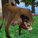 Thumb 55c68a62f8a1ec74f6000001